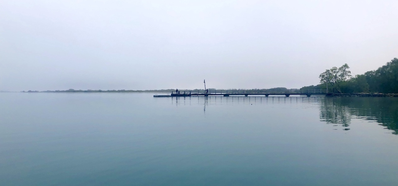 When the fog clears