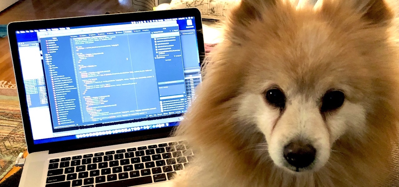 I'm a digital nomad now