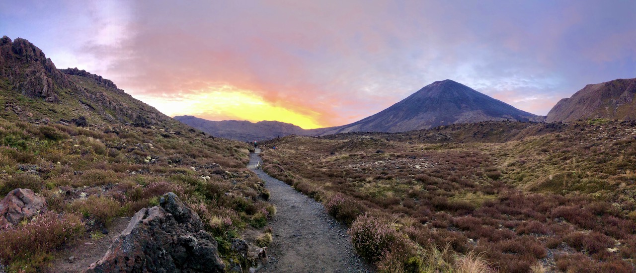 Surviving Mordor